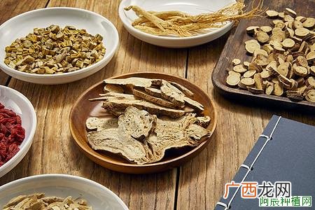 虎尾兰的养殖方法和注意事项