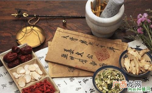 福娘多肉怎么养