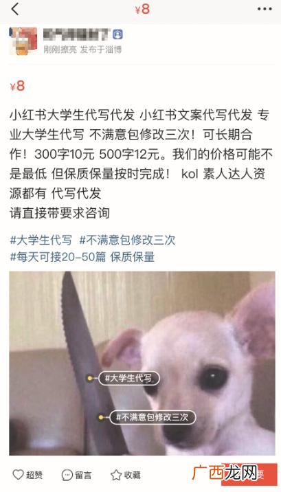 创业计划书代写费用 代写创业计划书的公司