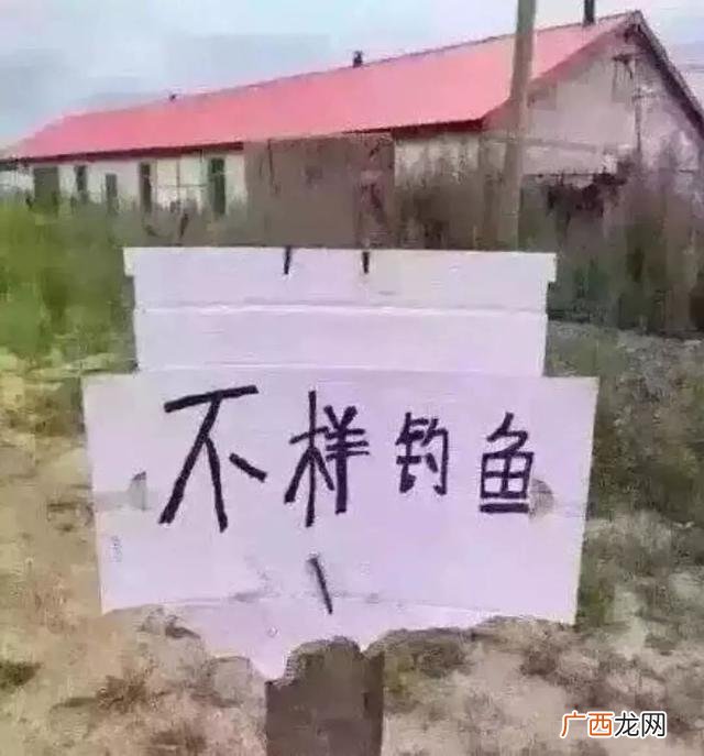 又木红枣黑糖姜茶功效 红枣黑糖姜茶文案