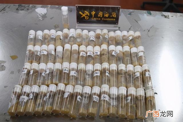 全国检疫性有害生物,检疫性有害生物风险分析有哪几个阶段