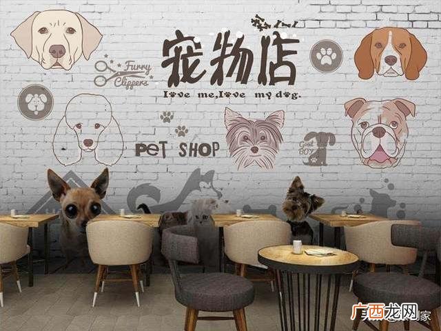 小本创业网 女生在家创业