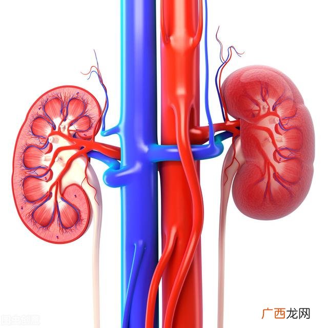 女性尿检报告单怎么看 尿常规各项的正常值范围