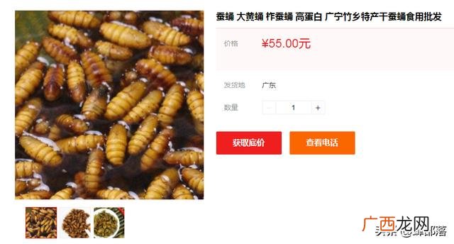 农村在家养殖 室内养殖什么动物赚钱