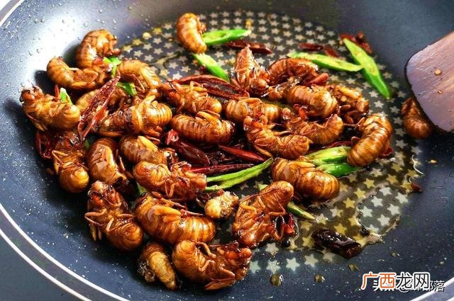 农村在家养殖 室内养殖什么动物赚钱