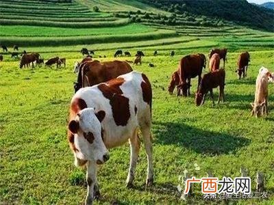 农业养殖创业项目 科技农业创业项目