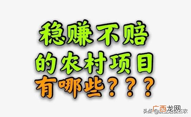农业养殖创业项目 科技农业创业项目