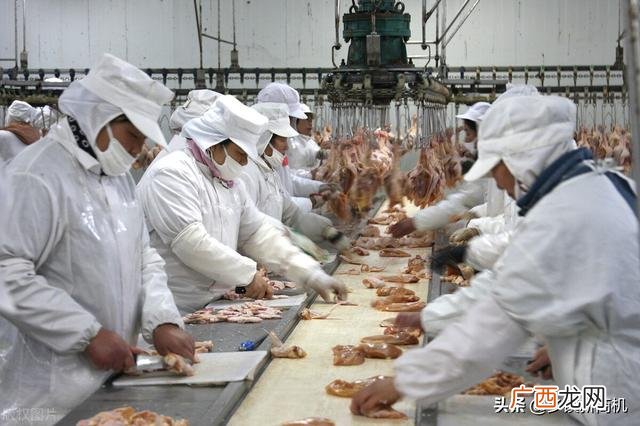 18种最赚钱的地摊生意 工厂做什么生意好