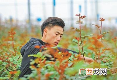 名人创业成功的案例和分析 案例创新创业历程