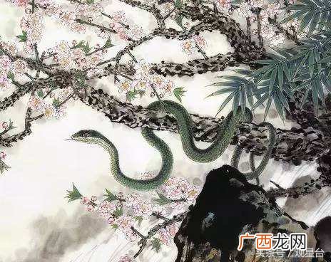 属蛇与这两大生肖最不宜婚配 属蛇和什么属相相冲