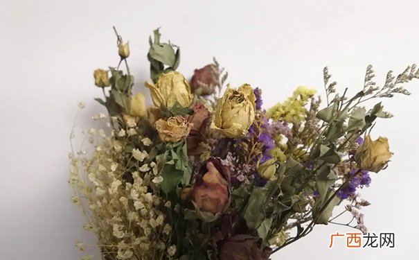 卧室放干花到底好不好 家里放干花有什么风水讲究