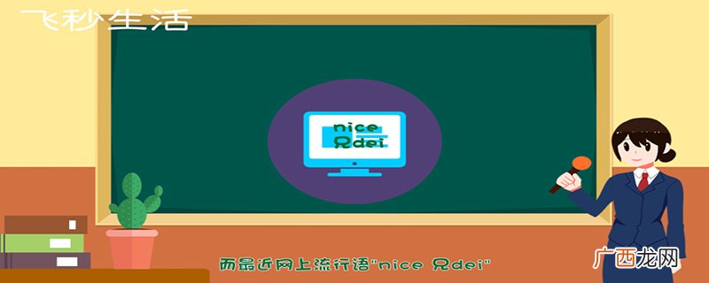 nice什么意思
