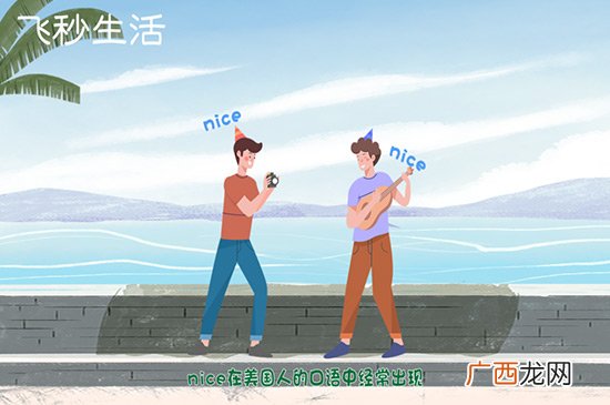 nice什么意思