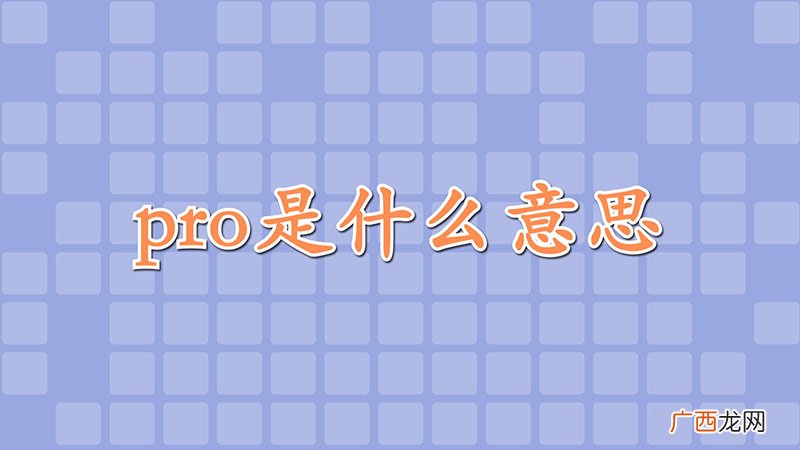 pro是什么意思中文