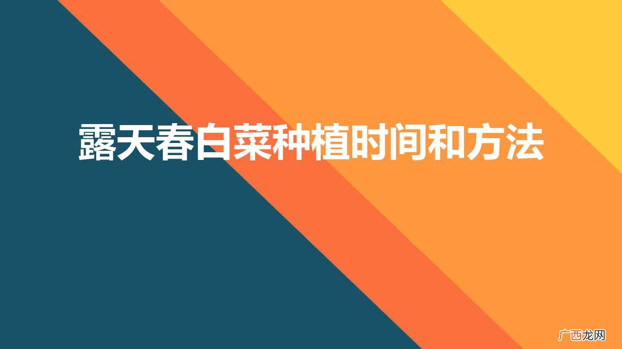 露天春白菜种植时间和方法