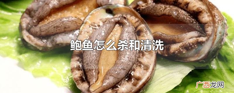 鲍鱼怎么杀和清洗