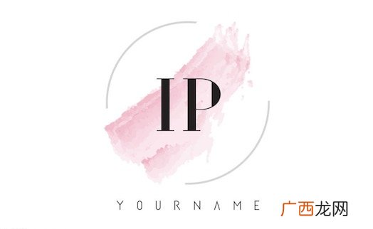 IP是什么意思什么梗 大IP IP剧的含义