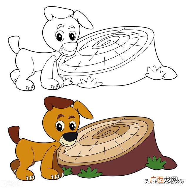 两个生肖谁比较厉害 生肖猪和生肖狗有什么差距