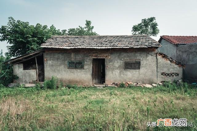 这是啥意思 蛇进家里是什么预兆,该怎么处理