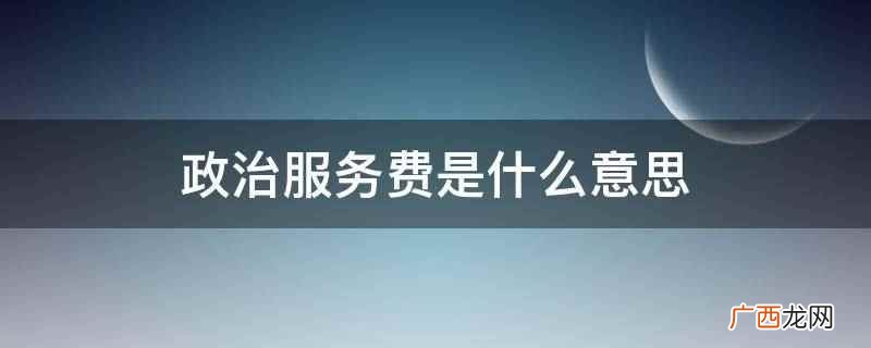 政治服务费有广义和狭义两种 政治服务费