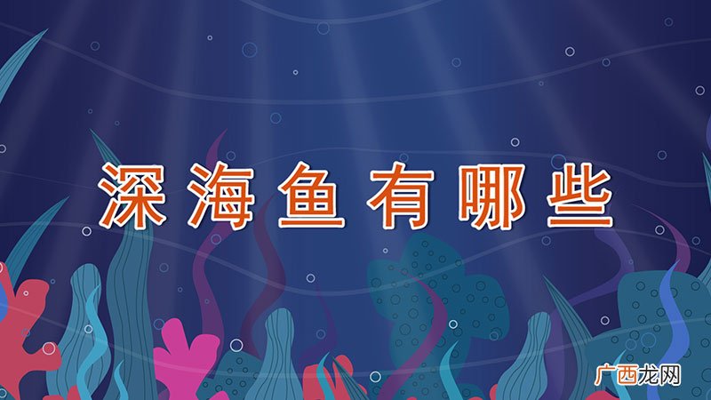 深海鱼有哪些