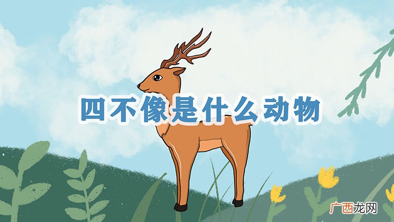 四不像是什么动物