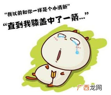 直到我膝盖中了一箭是什么意思？膝盖中箭是什么意思
