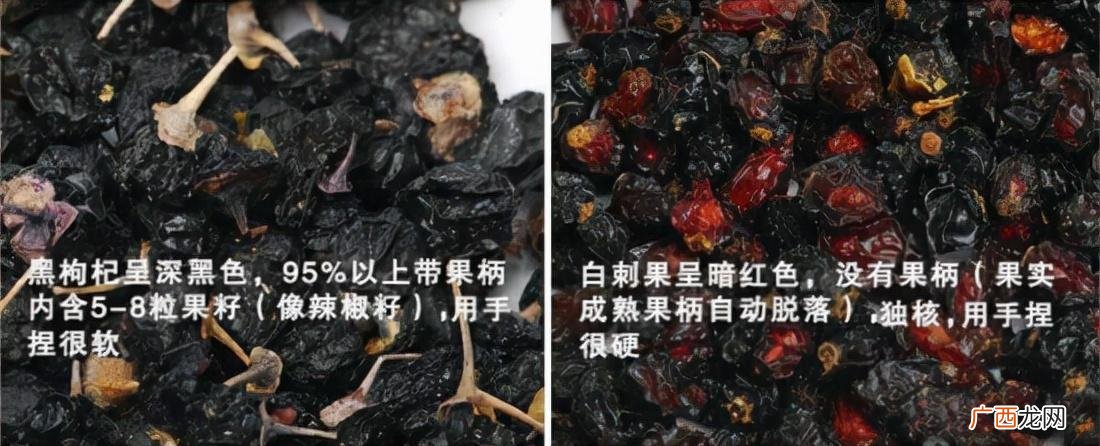 黑枸杞真假辨别方法教程 假黑枸杞泡水后的颜色是什么