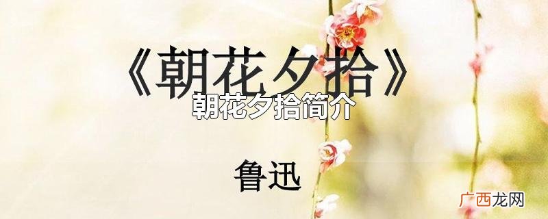 朝花夕拾简介