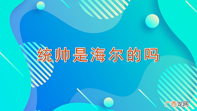 统帅是海尔的吗