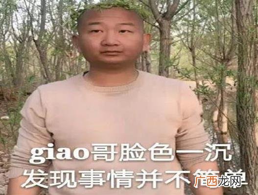 2020十大热词，摆摊事业兴起，正道的光在抖音上火爆一时