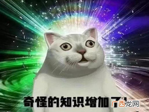2020十大热词，摆摊事业兴起，正道的光在抖音上火爆一时
