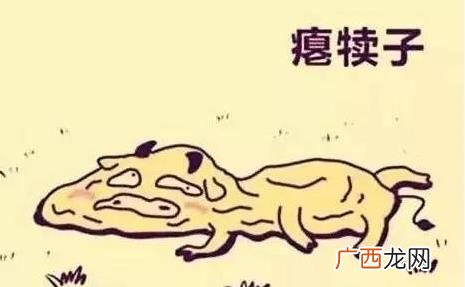 瘪犊子是什么意思？东北话瘪犊子玩意儿的意思 瘪字怎么读