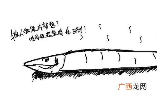 孤独咸鱼是什么意思什么梗 孤独咸鱼的含义及出处