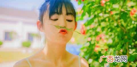 最招财的7种物品 客厅财位上放什么东西最旺财