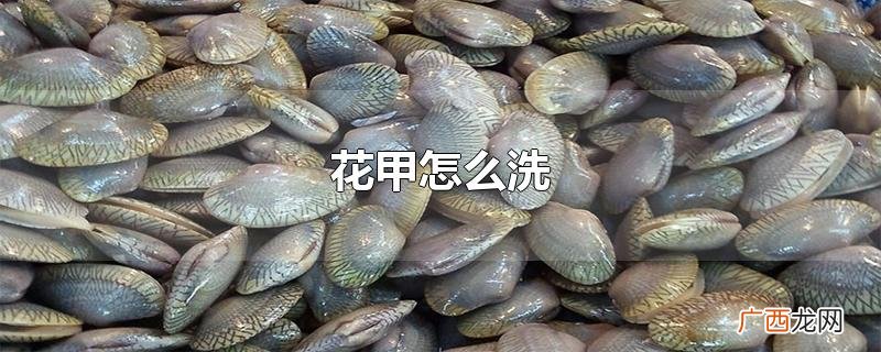 花甲怎么洗