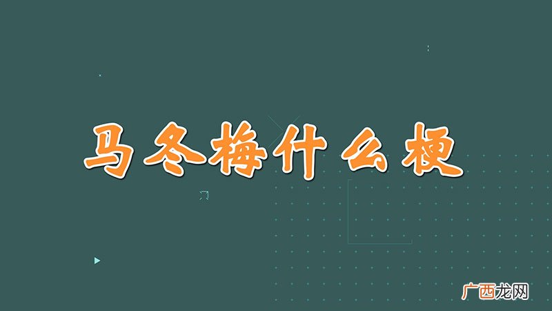 马冬梅什么梗