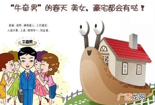 牛奋男是什么意思 牛奋男出处 牛奋男特征 牛奋男受到女孩追捧