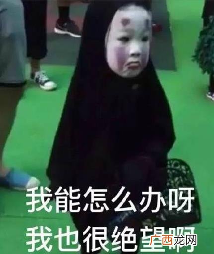 我能怎么办啊我也很绝望啊是什么梗？什么意思？出处及相关示例