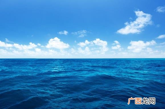 你喜欢大海我爱过你是什么意思什么梗?阚清子喜欢大海,纪凌尘喜欢浪