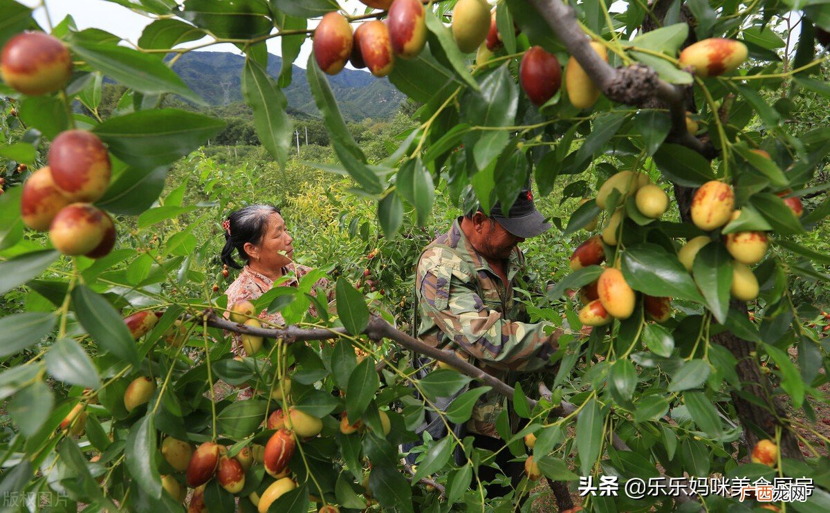 6种常见水果含糖量大排名 水果含糖量高的水果排名
