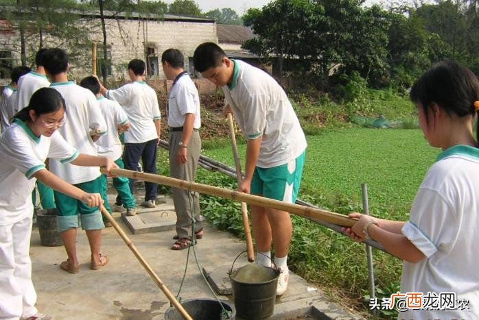 草木灰主要化学成分是碳酸钾吗 草木灰的主要成分是什么