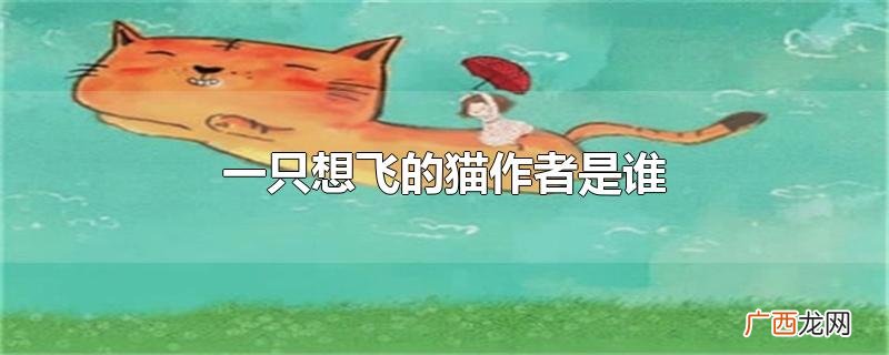 一只想飞的猫作者是谁