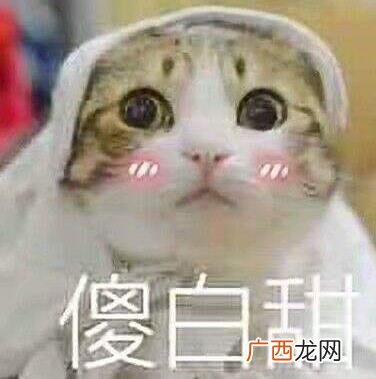 傻白甜是什么意思什么梗 为什么男生会喜欢“傻白甜”女生