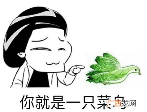 网络中的小白是什么意思？网络上小白的8种解释 新手？菜鸟？