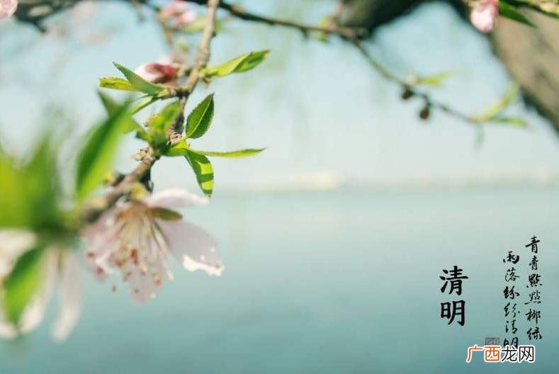 中国传统节日清明节的来历和习俗 清明的来源和风俗