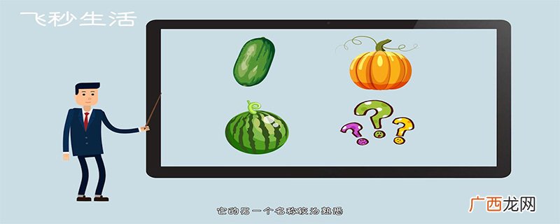 为什么没有北瓜