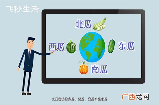 为什么没有北瓜