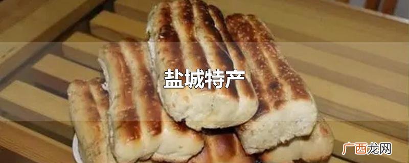 盐城特产