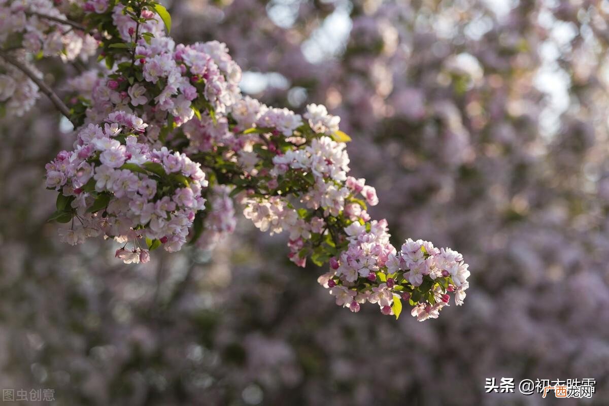 描写烟花三月的诗歌有哪些 烟花三月什么意思